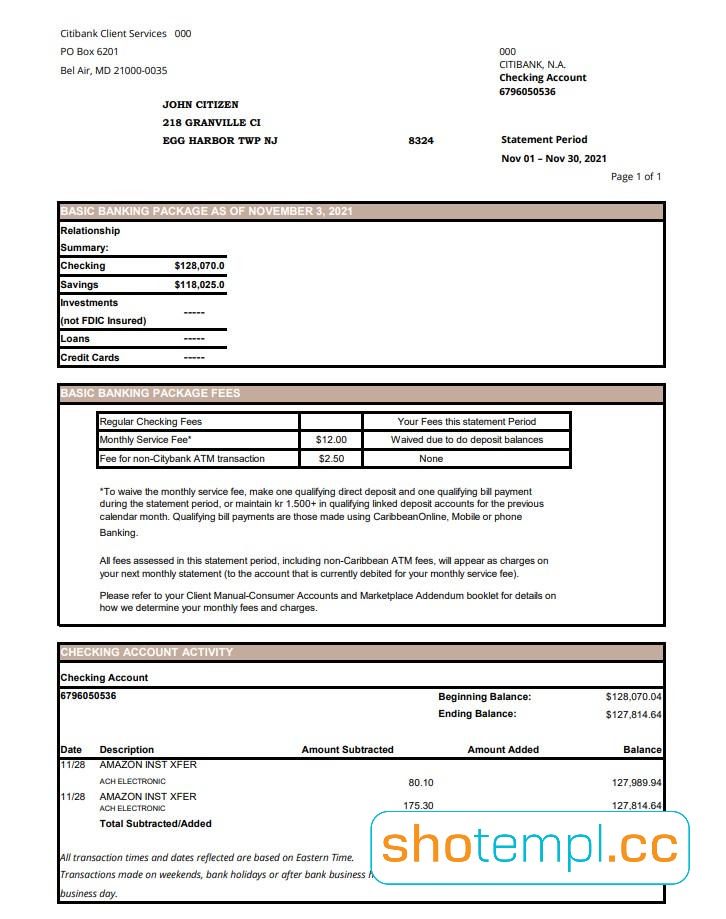 City Bank Statement PDF Template